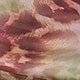 粉色