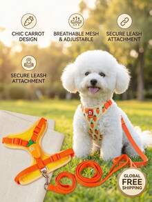 PETSIN 可愛寵物胸背帶與牽繩套組適用於小型犬，防逃脫貓牽繩，可調節貓背心，四季皆宜戶外散步 - 黃色 - 查看 3