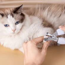 1 Pair Pet Nail Clippers Designed For Dogs And Cats, Prevent Cutting To The Quick - View 4