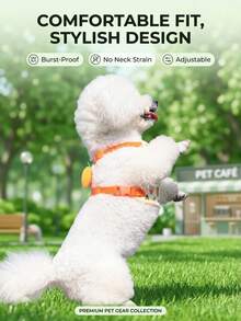 PETSIN 可愛寵物胸背帶與牽繩套組適用於小型犬，防逃脫貓牽繩，可調節貓背心，四季皆宜戶外散步 - 黃色 - 查看 6