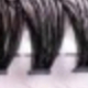 彩色