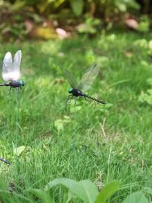 10pcs Realistic Dragonfly Decor, 3D Dragonfly Garden Stake, Dragonfly Garden Ornament, Yard Decoration, Movable Dragonfly Stake, Modern Dragonfly Design Garden Decor With Stem, Suitable For Garden/Shop/Home Wall Dec - multicolor - View 11