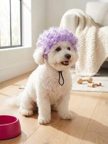 PETSIN 1PC Adorable Pet Afro Wig With Adjustable Elastic Strap, Suitable For Small To Medium-Sized Cats And Dogs. A Fun Costume Prop For Halloween, Birthday Parties, And Holiday Photoshoots. - Multicolor - View 8