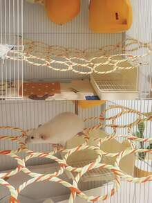 1pc Durable Non-Slip Multi-Functional Climbing Rope Net Toy For Cage, Bird Perch Swing Ladder Bridge Hammock, Small Pet Exercise Toy For Rats Parrots Birds (Random Color) - Multicolor - View 6