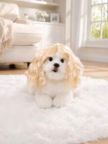 PETSIN 1PC Judge Style Pet Curly Wig For Dogs And Cats, Long Wavy Hair Costume Headpiece, Holiday Party Cosplay Dress Up Accessory, Funny Pet Photo Prop For Halloween Christmas, Perfect Gift For Pet Lovers - Multicolor - View 7