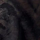 الأسود