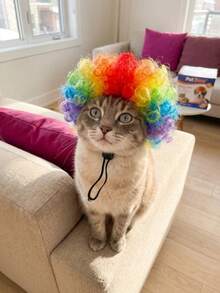 PETSIN 1PC Adorable Pet Afro Wig With Adjustable Elastic Strap, Suitable For Small To Medium-Sized Cats And Dogs. A Fun Costume Prop For Halloween, Birthday Parties, And Holiday Photoshoots. - Multicolor - View 7