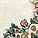 彩色