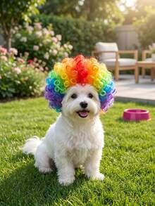 PETSIN 1PC Adorable Pet Afro Wig With Adjustable Elastic Strap, Suitable For Small To Medium-Sized Cats And Dogs. A Fun Costume Prop For Halloween, Birthday Parties, And Holiday Photoshoots. - Multicolor - View 5
