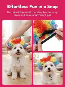 PETSIN 1PC Adorable Pet Afro Wig With Adjustable Elastic Strap, Suitable For Small To Medium-Sized Cats And Dogs. A Fun Costume Prop For Halloween, Birthday Parties, And Holiday Photoshoots. - Multicolor - View 9