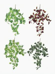 1/2pcs Artificial Plants, Vine Decor, 4 Options: A. Red Eyebrow Leaf, B. Green Eyebrow Leaf, C. Pepper Grass, D. Net Grass Mint Leaf. Green Decorations - Green - View 7