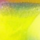 MultiWarna