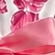 Coral Pink