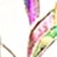 Multicolor