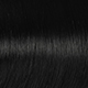 S1