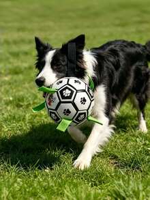 1 pièce Jouet pour chien avec sangle intégrée, ballon de football interactif pour usage intérieur et extérieur, convient aux chiens de grande, moyenne et petite taille, jeu de rapport pour chien heureux, match de football pour animaux de compagnie - Multicolore - Voir 9