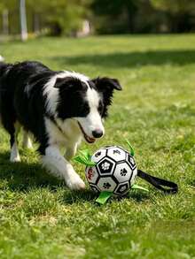 1 pièce Jouet pour chien avec sangle intégrée, ballon de football interactif pour usage intérieur et extérieur, convient aux chiens de grande, moyenne et petite taille, jeu de rapport pour chien heureux, match de football pour animaux de compagnie - Multicolore - Voir 6