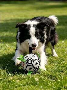 1 pièce Jouet pour chien avec sangle intégrée, ballon de football interactif pour usage intérieur et extérieur, convient aux chiens de grande, moyenne et petite taille, jeu de rapport pour chien heureux, match de football pour animaux de compagnie - Multicolore - Voir 7