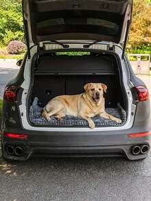 1-Piece Non-Slip Car Dog Mat, Heavy-Duty Pet Seat Mat With Rear Extension, Chew-Resistant And Wear-Resistant Floor Mat, Easy-To-Clean Car Seat Protector, Suitable For SUVs, Sedans, And Trucks - Compatible With All Dog Breeds And Sizes - Multicolor - View 10