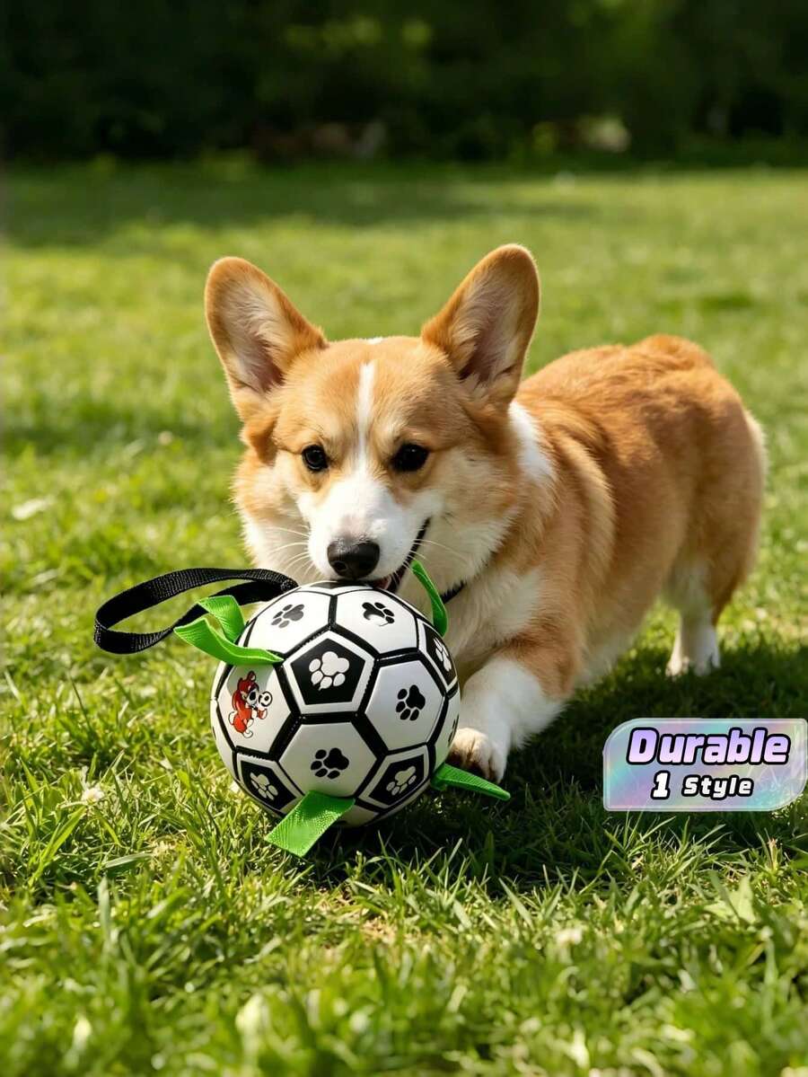 1 pièce Jouet pour chien avec sangle intégrée, ballon de football interactif pour usage intérieur et extérieur, convient aux chiens de grande, moyenne et petite taille, jeu de rapport pour chien heureux, match de football pour animaux de compagnie - Multicolore - Voir 1