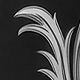 Black and White