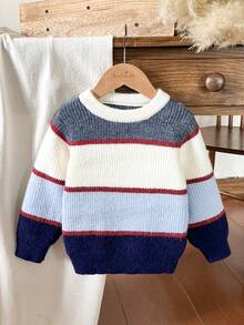 Young Boys Striped Color Block Thick Soft Knit Pullover Sweater, Suitable For Home, Casual, Outings And Gatherings, Autumn/Winter - Multicolor - View 4