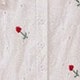 Red and White