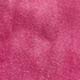 Rosa Fucsia