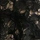 الأسود