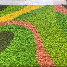 0.71oz Artificial Fake Moss, DIY Simulation Moss Grass Micro Landscape Layout, Green Plant Lawn Potted Plant Window Decoration Landscape Design - Dark Green - View 5
