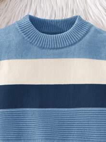 SHEIN 兒童小男孩條紋圓領長袖休閒秋冬毛衣 - 彩色 - 查看 4