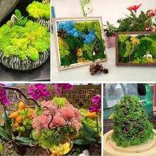 0.71oz Artificial Fake Moss, DIY Simulation Moss Grass Micro Landscape Layout, Green Plant Lawn Potted Plant Window Decoration Landscape Design - Dark Green - View 4