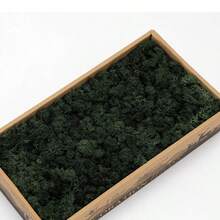 0.71oz Artificial Fake Moss, DIY Simulation Moss Grass Micro Landscape Layout, Green Plant Lawn Potted Plant Window Decoration Landscape Design - Dark Green - View 1