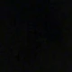 الأسود