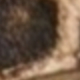 Animal Print Brown