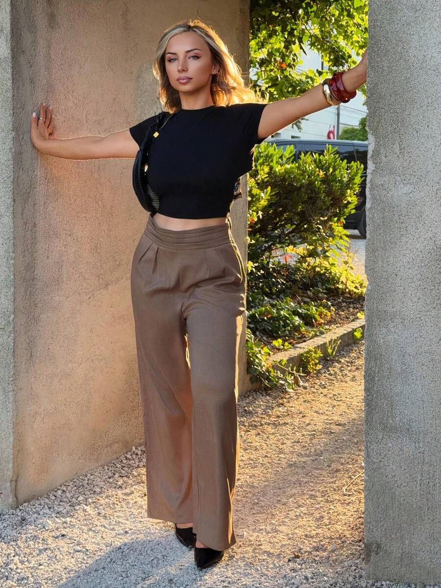 Jeta Ari Pleated High Waist Elegant Commuter Wide Leg Pants In Fall/Winter