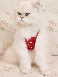 Betty Boop x SHEIN 1件卡通图案印花宠物背心/连衣裙，猫咪服装，狗狗服装，尺码 XXS-XXXXL，超小号，超大号，俏皮，性感，波点图案 - 紅色 - 查看 5