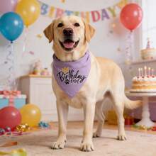 New Arrival Dog Birthday Bandana, Birthday Party Costume Pet Accessories, 6 Colors Available Dog Cat Birthday Scarf Neckerchief - Multicolor - View 6