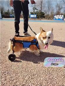 1PC Adjustable Lightweight Durable Pet Dog Wheelchair Mobility Aid With Rear Leg Support For Small Dogs Injury Recovery Indoor Outdoor All Season Rehabilitation Assistant Walking Aid - Multicolor - View 2