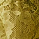 Mustard Yellow
