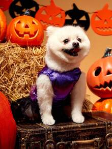 PETSIN 1pc Pet Halloween Purple Velvet Splice Metallic Mesh Spider Print Witch Costume Dress For Cats & Dogs - Multicolor - View 5