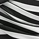 Blanco y Negro