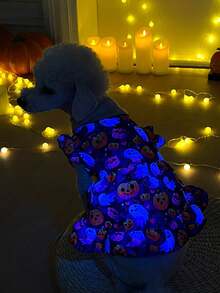 PETSIN 1pc Colorful Pumpkin & Bat Graphic Luminous Dress, Halloween Costume For Pets - Multicolor - View 4
