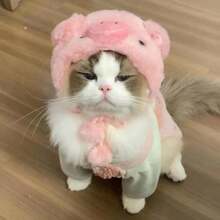 毛絨寵物頭飾，趣味 Cosplay 裝飾帽子，適合小型犬、貓、比熊，可愛拍照造型頭套，適用 2-7kg 寵物，聖誕白色兔子寵物頭飾，萬聖節可愛寵物拍照道具頭飾 - 白色 - 查看 8