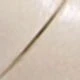 Aprikot