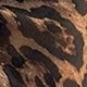 بني