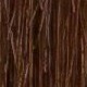 S4