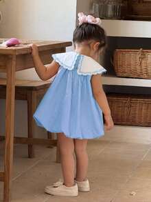 Babygirl Cute Summer Embroidered Floral Sleeveless Dress - Baby Blue - View 2