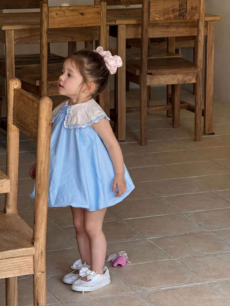 Babygirl Cute Summer Embroidered Floral Sleeveless Dress - Baby Blue - View 1