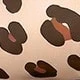 لون مشمشي